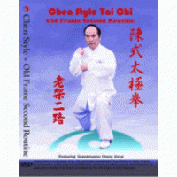 Chen Style Tai Chi Old Frame Second Routine